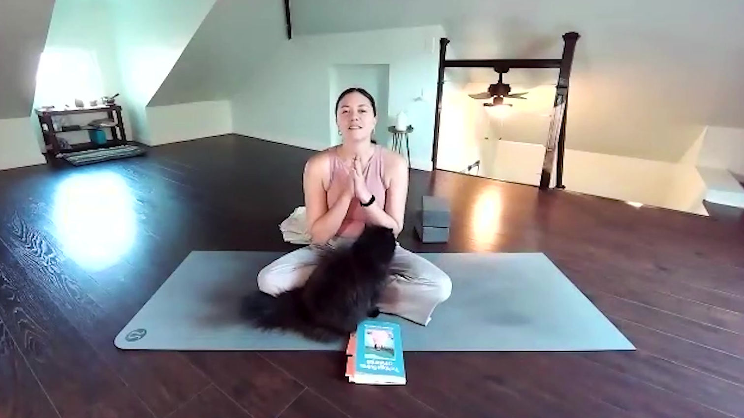 Yoga For Beginners Video Pack
